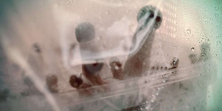 Fructification: les capsules et les stipes commencent à émerger FRUITS: LES CAPS ET LES STIPES COMMENCENT À ÉMERGER