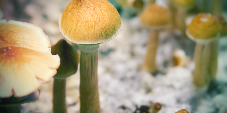 Le plaisir n'est pas fini, préparez-vous à une autre bouffée de chaleur LE PLAISIR N'EST PAS FINI, PRÉPAREZ-VOUS À UNE AUTRE RINÇAGE