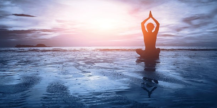 Signification spirituelle des champignons et du DMT