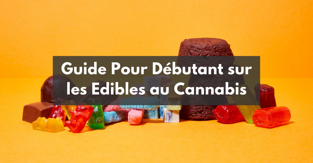 Le guide complet du débutant pour les edibles au cannabis