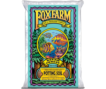 Conseils importants sur les suppléments et nutriments pour cannabis