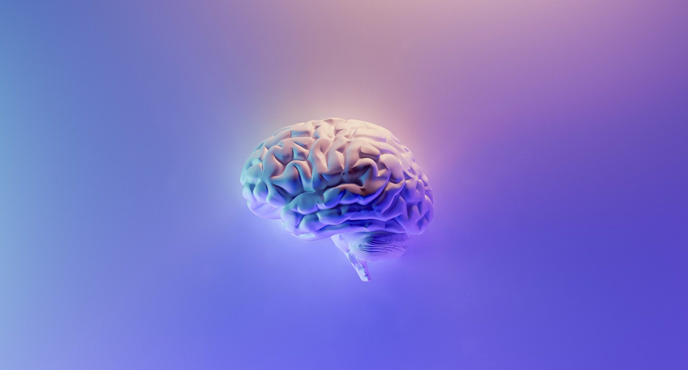 La neurochimie des champignons magiques