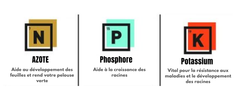Ratios optimaux de nutriments N-P-K pour le cannabis hydroponique