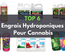 TOP 6 Engrais Hydroponiques Pour Cannabis