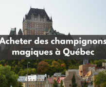 Acheter des champignons magiques à Québec (2021)