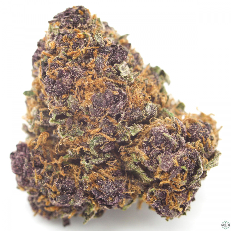 Purple Kush cannabis