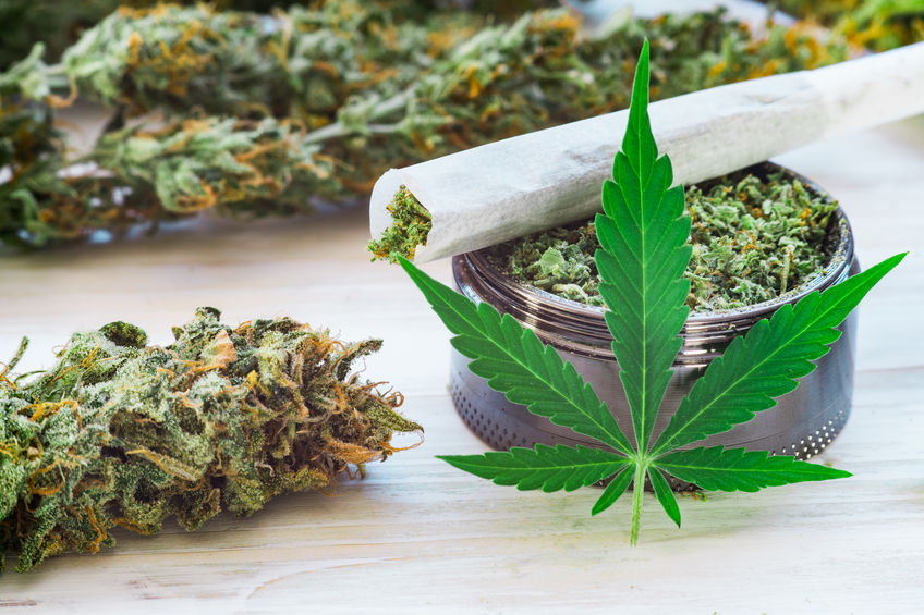 bourgeons de marijuana Joint et moulin à herbe broyée