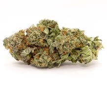 Variété de marijuana Bruce Banner (Revue complète) bruce banner cannabis