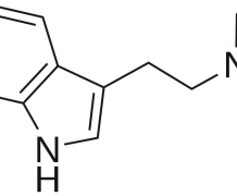 Qu'est ce que la DMT (N-diméthyltryptamine) ? Effets, Risques et Consommation Qu'est ce que la DMT