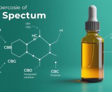 Guide Ultime des Huiles de CBD Full Spectrum : Où Acheter au Meilleur Prix Composition d'une huile de CBD full spectrum montrant les différents cannabinoïdes et terpènes