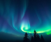 Northern Lights : culture facile, effets nocturnes – fiche 2025 northern lights indica